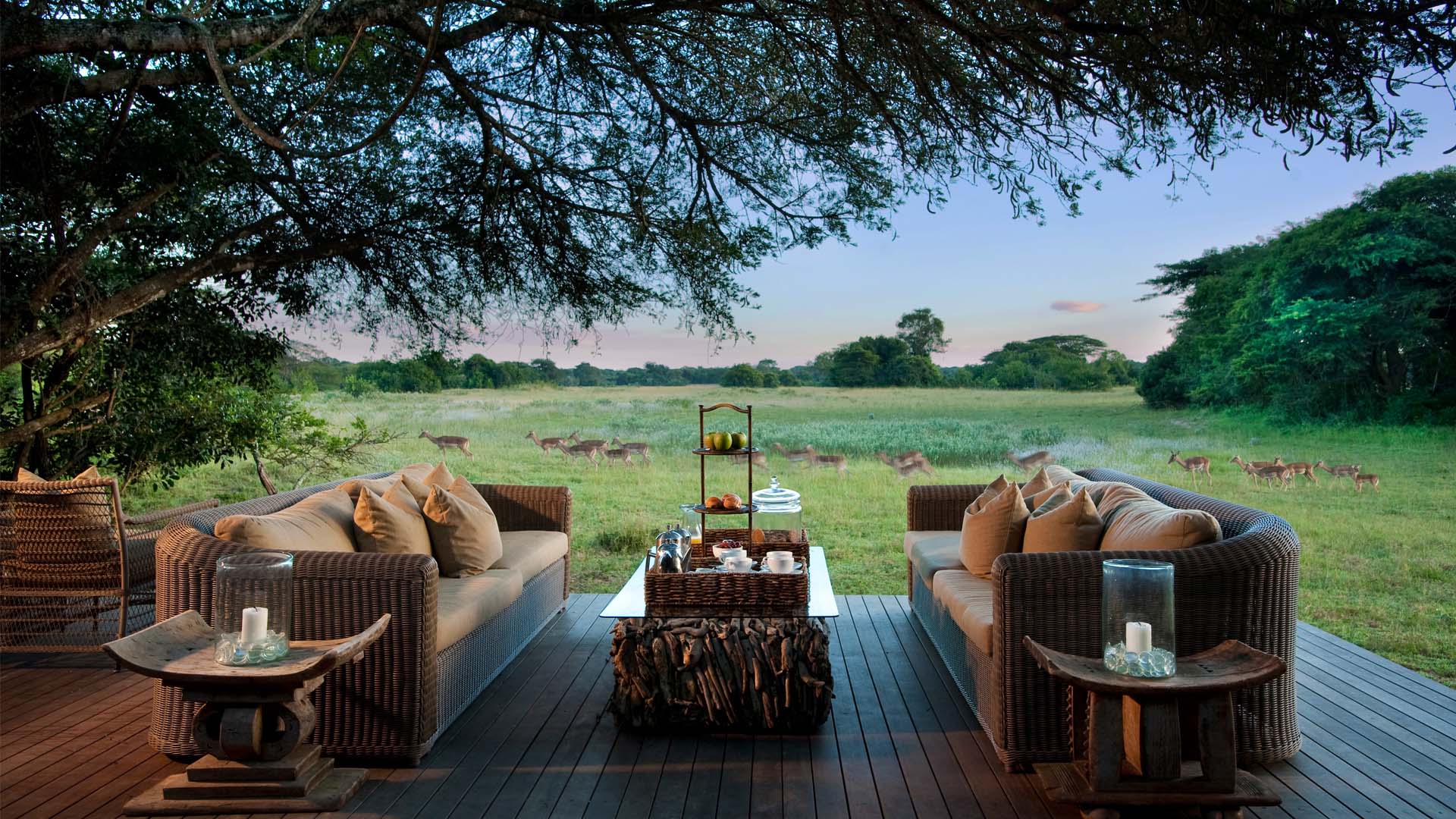 Stay at Phinda Vlei Lodge during a Luxury Safari South Africa